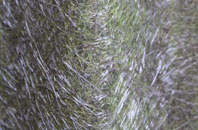 Slaugham fibreglass roof work